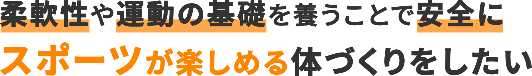 柔軟性や運動の基礎を養うことで安全に
											スポーツが楽しめる体づくりをしたい